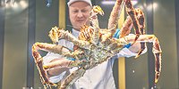 Рыба вписалась в рацион
