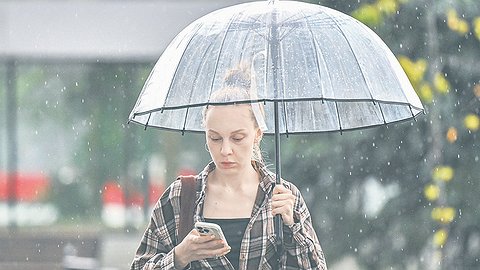 ФАС дождалась маркированного звонка