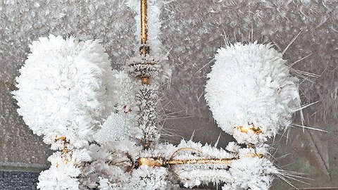 Жилые — не живые